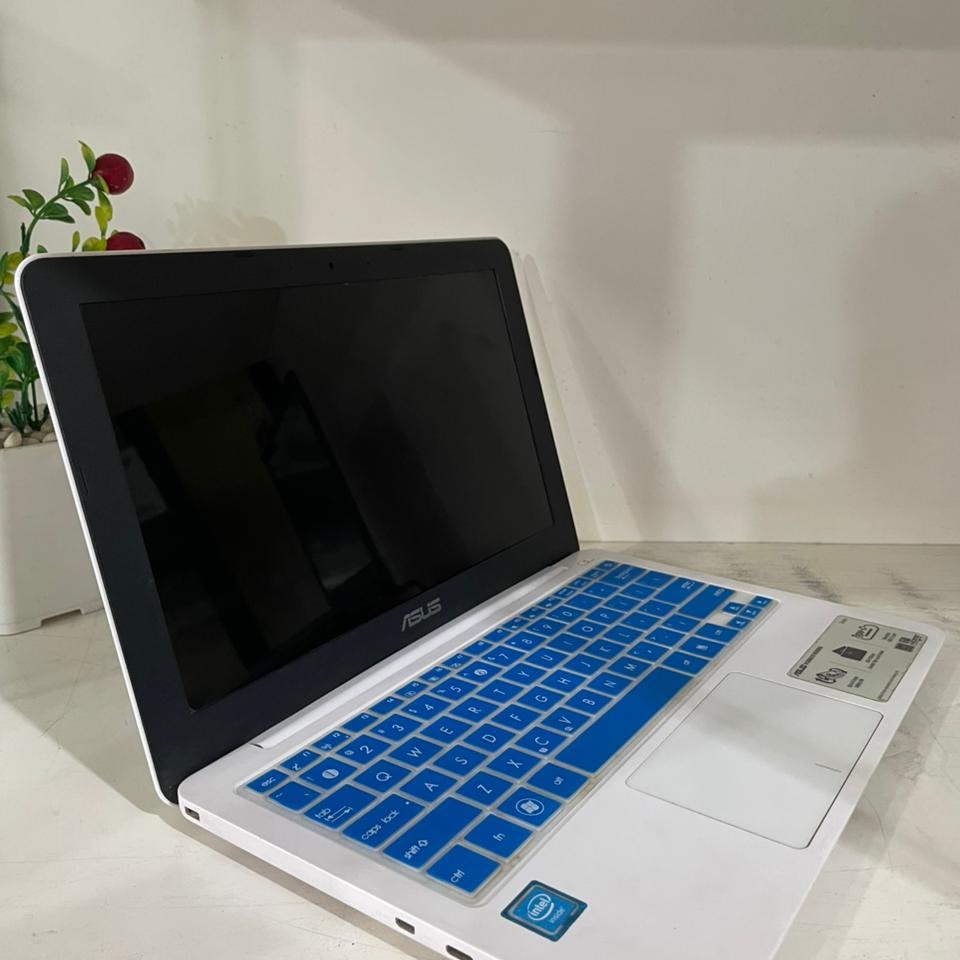 ASUS E202S